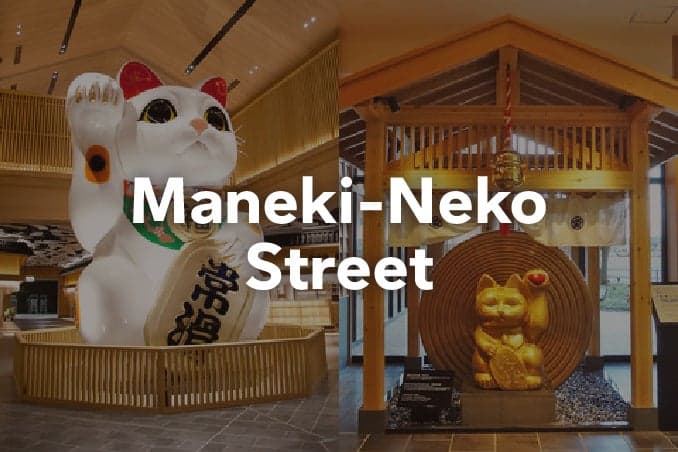 招财猫大道