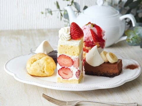 Afternoon Tea TEAROOM