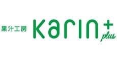 karin plus