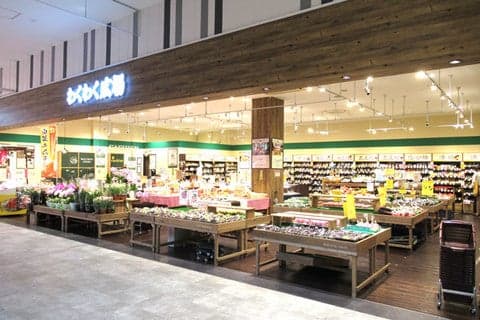 WAKUWAKU HIROBA
