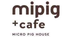 mipig cafe